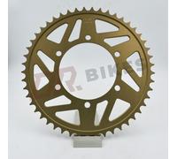 Yamaha YZF600 R6 (520 Gara) 06-20 AFAM Anodizzato Duro Corona 13814-49