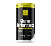 YAMAMOTO Charge PERFORMANCE 700 grammi con AMINOACIDI ESSENZIALI