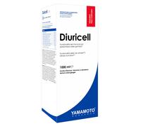 YAMAMOTO DIURICELL 1 LT Limone e Zenzero
