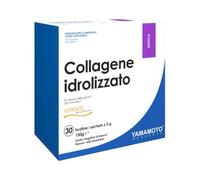 YAMAMOTO R COLLAGENE IDR30BUST