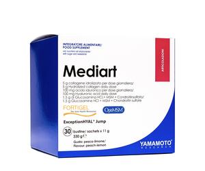 Yamamoto R Mediart 30Bust