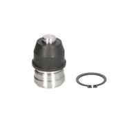 YAMATO Giunto Sferico Anteriore Doppio Compatibile Per Mitsubishi Space Star