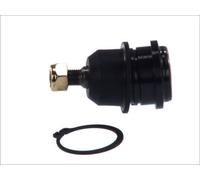 YAMATO Giunto Sferico Frontale per Volvo V40 Familiare S40 I Mitsubishi Galant