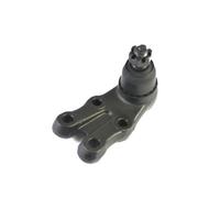 Perno braccio oscillante Assale anteriore inferiore J15013YMT YAMATO
