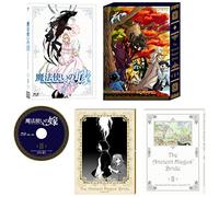 Yamazaki Kore - The Ancient Magus Bride 2 [Edizione: Giappone]