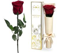Yamonic Rosa Stabilizzata Regalo Donna,Rosa Eterna con Steli Regali per Lei | Regalo per Donne Compleanno,Regali Mamma Natale San Valentino,Vera Rosa Bordeaux