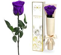 Yamonic Rosa Stabilizzata Regalo Donna,Rosa Eterna con Steli Regali per Lei | Regalo per Donne Compleanno,Regali Mamma Natale San Valentino,Vera Rosa Viola