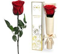 Yamonic Rosa Stabilizzata Regalo Donna,Rosa Eterna con Steli Regali per Lei | Regalo per Donne Compleanno,Regali Mamma Natale San Valentino,Vera Rosa Rossa