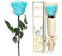 Yamonic Rosa Stabilizzata Regalo Donna,Rosa Eterna con Steli Regali per Lei | Regalo per Donne Compleanno,Regali Mamma Natale San Valentino,Vera Rosa Verde Acqua