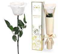 Yamonic Rosa Stabilizzata Regalo Donna,Rosa Eterna con Steli Regali per Lei | Regalo per Donne Compleanno,Regali Mamma Natale San Valentino,Vera Rosa Bianca