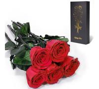 Yamonic Rosa Stabilizzata Regalo Donna,Rosa Eterna con Steli Regalo per Donne Compleanno,Idee Regali per Lei,Regali Mamma Natale San Valentino Festa della Mamma,5 Rose