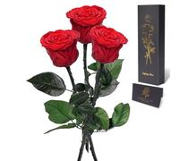 Yamonic Rosa Stabilizzata Regalo Donna,Rosa Eterna con Steli Regalo per Donne Compleanno,Idee Regali per Lei,Regali Mamma Natale San Valentino Festa della Mamma,3 Rose