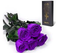 Yamonic Rosa Stabilizzata Regalo Donna,Rosa Eterna con Steli Regalo per Donne Compleanno,Idee Regali per Lei,Regali Mamma Natale San Valentino Festa della Mamma,5 Rose