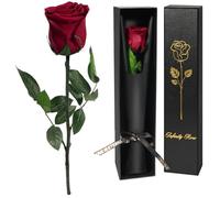 Yamonic Rosa Stabilizzata Regalo Donna,Rosa Eterna con Steli Regalo per Donne Compleanno,Idee Regali per Lei,Regali Mamma Natale San Valentino Festa della Mamma,Vera Rosa Bordeaux