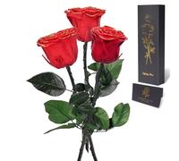 Yamonic Rosa Stabilizzata Regalo Donna,Rosa Eterna con Steli Regalo per Donne Compleanno,Idee Regali per Lei,Regali Mamma Natale San Valentino Festa della Mamma,3 Rose
