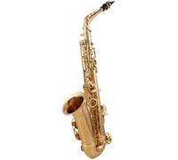 Yanagisawa A-WO2 Alto Sax
