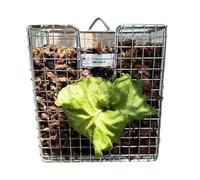 Yanayi Supporto Per Piante Da Parete - Cestello Verticale Appeso Antiruggine | Cestino in Acciaio Inossidabile 304 con Design Verticale per Soggiorno Giardino Balcone Interni Camera da Letto