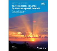 Yangang Liu Fast Processes in Large-Scale Atmospheric Models (Copertina rigida)