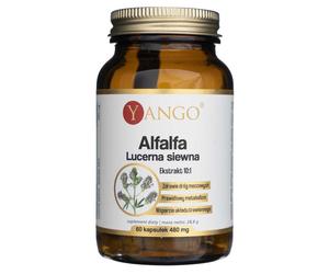 Yango Semina dell'erba medica - 60 Capsule