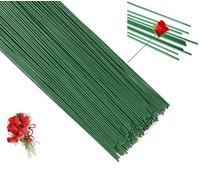 YANGWEN 100 Pezzi Filo per Steli Floreali,Verde Laccato - 30 cm x 2 mm - Gambi Metallici per Bouquet Fiori Artificiali, Fai da Te, Decorazioni Floreali e Artigianato