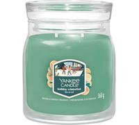 Yankee Candle Holiday Winterfest 368 g