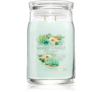 Yankee Candle Candela profumata Praline & Birch 567 g variante Aloe & Agave