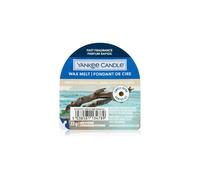 Yankee Candle Amber & Sandalwood 22 g - Candela