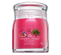 CANDELA GIARA MEDIA SIGNATURE ART IN THE PARK YANKEE CANDLE
