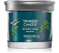 Yankee Candle Bayside Cedar candela profumata 122 g