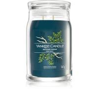 Yankee Candle Bayside Cedar candela profumata Signature 567 g