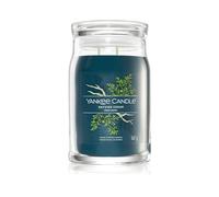 Yankee Candle Bayside Cedar candela profumata Signature 567 g