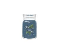 YANKEE CANDLE CANDELA IN GIARA GRANDE BAYSIDE CEDAR