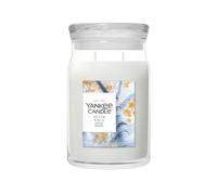 YANKEE CANDLE CANDELA IN GIARA GRANDE SILVER BIRCH