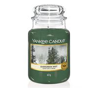 Yankee Candle Candela Profumata In Giara Piccola, Abeti Nella Nebbia, Durata Fino A 150 Ore, 16.8 x 10.7 x 10.7 cm 623 grammi, 150 ore