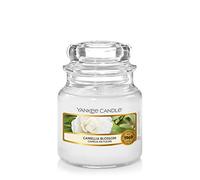 Yankee Candle Candela profumata Classic piccola Camellia Blossom 104 g