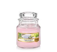 Yankee Candle Candela Profumata in Giara Piccola, Picnic Sotto Al Sole, Durata Fino A 30 Ore, Collezione Garden Hideaway