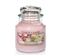 Yankee Candle Candela profumata in giara piccola | Rose appena recise | Durata Fino a 30 Ore