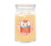 Yankee Candle Slopeside Spritz candela profumata Signature 567 g