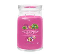 YANKEE CANDLE CANDELA PROFUMATA SIGNATURE JAR GRANDE ART IN THE PARK GIARA