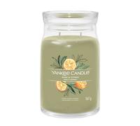 Yankee Candle Candela profumata Praline & Birch 567 g variante Sage & Citrus