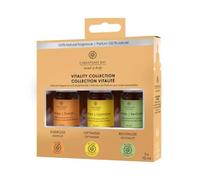 Yankee Candle Chesapeake Bay - Vitality Collection Oli per Diffusione, 3x10ml