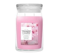 Yankee Candle Enchanting Cherry Blossom | Giara Grande, Media, Piccola, Mini