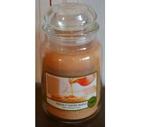 Yankee Candle FRESHLY TAPPED ACERO, Woodland Road Trip Collection, 623 g raro