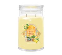 Candela Giara Grande Signature Lemon Gelato | Yankee Candle