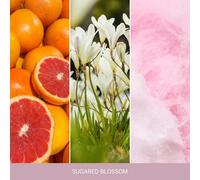 YANKEE CANDLE Home Inspiration bastoncini profumati SUGARED BLOSSOM 90ml