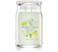 Yankee Candle Midnight Jasmine candela profumata I Signature 567 g