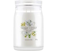 Yankee Candle Midnight Jasmine Signature candela- 567,0 g