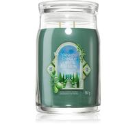 Yankee Candle Olive & Cypress candela profumata 567 g