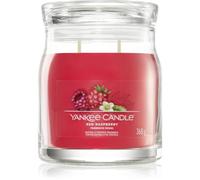 Yankee Candle Red Raspberry candela profumata Signature 368 g