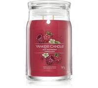 Yankee Candle Red Raspberry candela profumata Signature 567 g